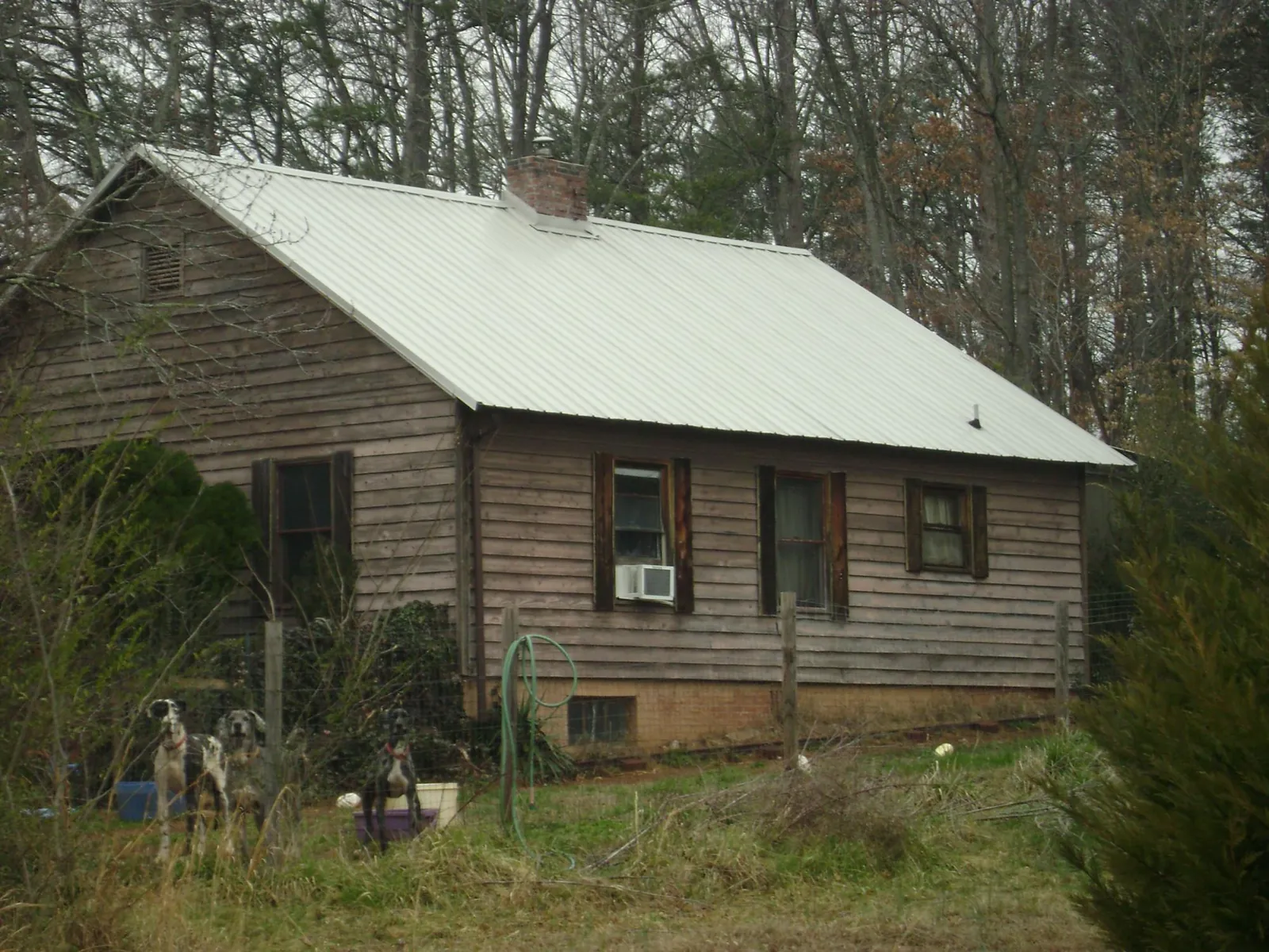 White metal roof on an old wood sided farmhouse, from a Asphalt Shingle Roof Repair job in Jessieville